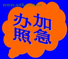 专业办理朝阳食品药监局卫生许可证食品流通许可朝阳工商办照